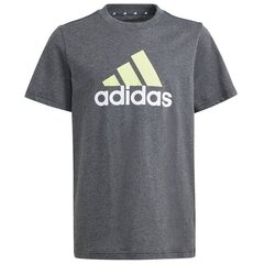 T-krekls zēniem Adidas Big Logo Tee IJ6286, pelēks cena un informācija | Zēnu krekli | 220.lv