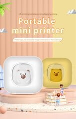 Cat Mini Printer X7B kaina ir informacija | Printeri un daudzfunkcionālās ierīces | 220.lv