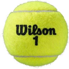 Tenisa bumbu komplekts Wilson Roland Garros, dzeltenas, 3 gab. цена и информация | Товары для большого тенниса | 220.lv