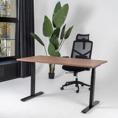 Regulējams galds Ergostock Unico line 120x65 Wallnut цена и информация | Компьютерные, письменные столы | 220.lv