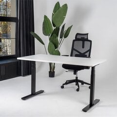 Regulējams galds Ergostock Unico line 120x80 White cena un informācija | Datorgaldi, rakstāmgaldi, biroja galdi | 220.lv