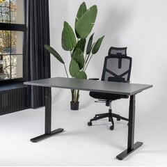Regulējams galds Ergostock Unico line 120x80 Anthracite цена и информация | Компьютерные, письменные столы | 220.lv