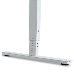 Регулируемый стол Ergostock Forza line 120x65 White цена и информация | Компьютерные, письменные столы | 220.lv