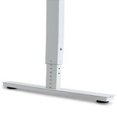 Регулируемый стол Ergostock Forza line 140x80 White цена и информация | Компьютерные, письменные столы | 220.lv