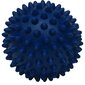 Masāžas bumba Enero Fit, 7 cm, zila цена и информация | Masāžas piederumi | 220.lv