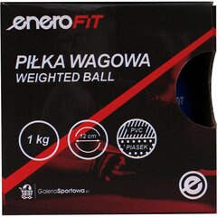 Svaru bumba Enero Fit, 1 kg цена и информация | Гири | 220.lv