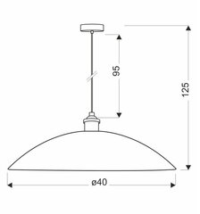 Piekaramā lampa Dexter cena un informācija | Lustras | 220.lv