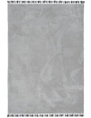 Paklājs Maximo 120x170 cm pelēks цена и информация | Ковры | 220.lv