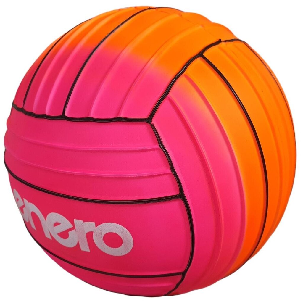 Volejbola bumba Enero, 5.izm., rozā цена и информация | Volejbola bumbas | 220.lv