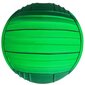 Volejbola bumba Enero, 5.izm., zaļa cena un informācija | Volejbola bumbas | 220.lv