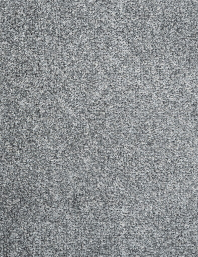 Paklājs Liberty 200x300 cm Pelēks cena un informācija | Paklāji | 220.lv
