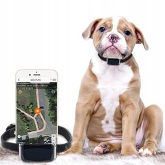 GPS-ошейник Mking MK12P для собак цена и информация | Ошейники, подтяжки для собак | 220.lv
