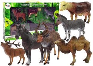 Figūriņu komplekts Mājas Meža dzīvnieki Lean Toys Animal Model, 6 gab. цена и информация | Игрушки для девочек | 220.lv