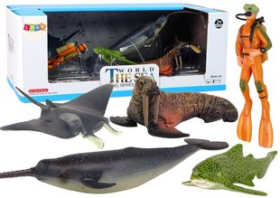 Figūriņu komplekts Jūras dzīvnieki Lean Toys The Sea World Model Series, 6 gab. цена и информация | Игрушки для девочек | 220.lv