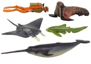Figūriņu komplekts Jūras dzīvnieki Lean Toys The Sea World Model Series, 6 gab. cena un informācija | Rotaļlietas meitenēm | 220.lv