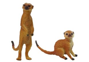 Figūriņu komplekts Surikāti Lean Toys Animal Series, 2 gab. cena un informācija | Rotaļlietas zēniem | 220.lv