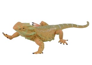 Figūriņa Agamas bārdainā ķirzaka Lean Toys Animal Series, 1 gab. cena un informācija | Rotaļlietas zēniem | 220.lv