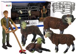 Figūriņu komplekts Lauku aitu ferma Lean Toys Animal Series, 10 d. cena un informācija | Rotaļlietas meitenēm | 220.lv