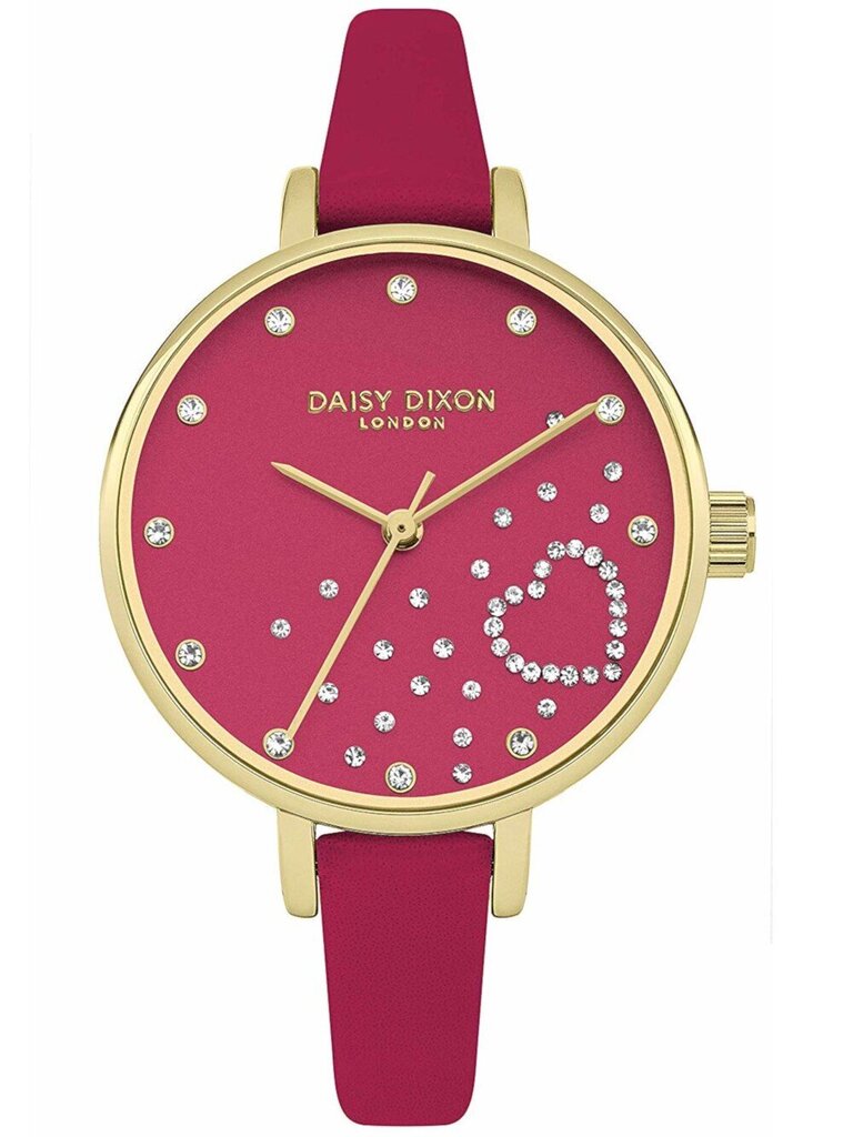Sieviešu pulkstenis Daisy Dixon DD083PG cena un informācija | Sieviešu pulksteņi | 220.lv