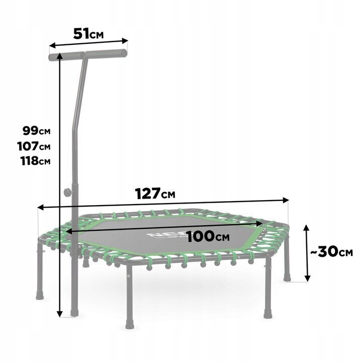 Fitnesa batuts ar rokturi Neo Sport, 127 cm, zaļš cena un informācija | Batuti | 220.lv