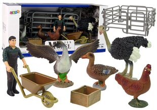 Figūriņu komplekts Putnu ferma Lean Toys Animal Series, 8 gab. cena un informācija | Rotaļlietas meitenēm | 220.lv