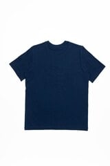 Mужская футболка Champion, синяя цена и информация | Мужские футболки | 220.lv