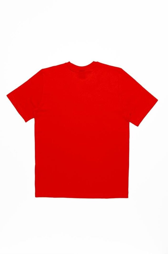 Champion T-krekls vīriešiem, sarkans cena un informācija | Vīriešu T-krekli | 220.lv