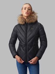 КУРТКА ЖЕНСКАЯ BLAUER BLDC03214 49039-6 цена и информация | Женские куртки | 220.lv