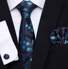 Комплект мужских галстуков синего цвета цена и информация | Галстуки, бабочки | 220.lv
