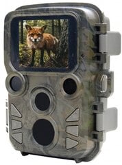 Braun trases kamera Scouting Cam Black800 Mini cena un informācija | Novērošanas kameras | 220.lv