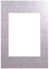 Паспарт 21х29,7, серебро цена и информация | Рамки, фотоальбомы | 220.lv