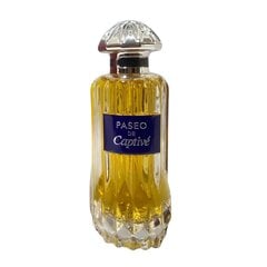 Parfimērijas ūdens Pendora Scents Paseo De Captive EDP vīriešiem, 100 ml cena un informācija | Vīriešu smaržas | 220.lv