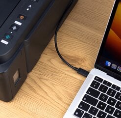 Reagle USB-C - USB-B, 3m цена и информация | Коммутационная панель 24 порта кат. 6 UTP Lanberg PPU6-1024-B | 220.lv