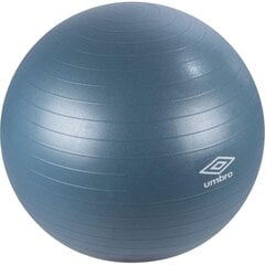 мяч для фитнеса 65 см, синий цена и информация | Гимнастические мячи | 220.lv