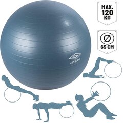 мяч для фитнеса 65 см, синий цена и информация | Гимнастические мячи | 220.lv