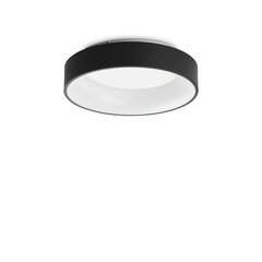 Griestu lampa D45 cena un informācija | Griestu lampas | 220.lv