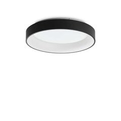 Griestu lampa D60 цена и информация | Потолочные светильники | 220.lv