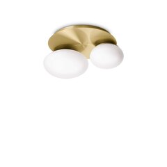 Griestu lampa PL2 цена и информация | Потолочные светильники | 220.lv