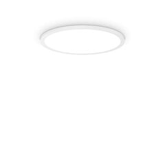 Потолочный светильник Fly Slim Pl D45 3000K цена и информация | Потолочные светильники | 220.lv