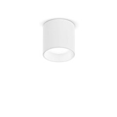 Griestu lampa PL 4000K цена и информация | Потолочные светильники | 220.lv