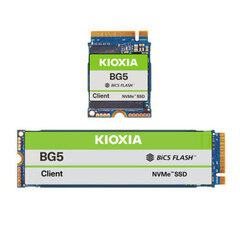 Kioxia KBG50ZNS1T02 цена и информация | Внутренние жёсткие диски (HDD, SSD, Hybrid) | 220.lv