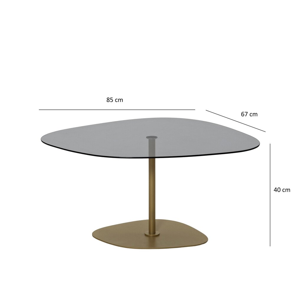 Kafijas galdiņš Asir, 85x40x67 cm, tumši pelēks/zelts cena un informācija | Žurnālgaldiņi | 220.lv