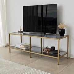 TV galdiņš Asir, 130x45x40 cm, tumši pelēks/zelts цена и информация | Тумбы под телевизор | 220.lv