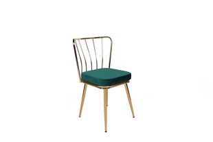 Krēslu komplekts, Asir, zaļš/zelts cena un informācija | Virtuves un ēdamistabas krēsli | 220.lv