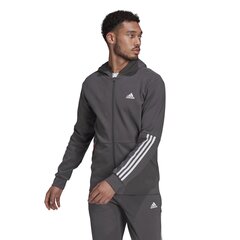 Jaka vīriešiem Adidas Motion FZ Hood, pelēka цена и информация | Мужские толстовки | 220.lv