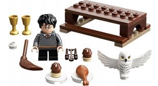 30420 LEGO® Harry Potter un Hedwig pūce, 31d. cena un informācija | Konstruktori | 220.lv