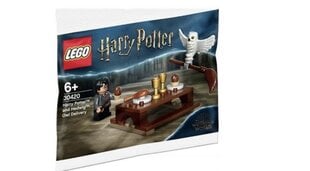 30420 LEGO® Гарри Поттер и Сова Хедвиг цена и информация | Конструкторы и кубики | 220.lv