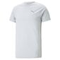 T-krekls vīriešiem Puma Evostripe, balts cena un informācija | Vīriešu T-krekli | 220.lv