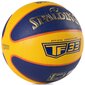 Basketbola bumba, 6. izmērs cena un informācija | Basketbola bumbas | 220.lv