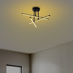 Griestu lampa Ledflower-13649 цена и информация | Потолочный светильник | 220.lv